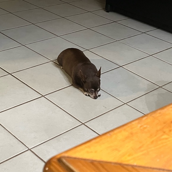 Meet your Posher, Lise - Picture 5 of 7